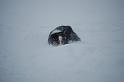 DSC_0057 (2)